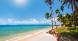 Tropical beach with palm trees, luxury lifestyle setting