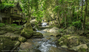 samui-aquarium-tiger-show-840×490-1